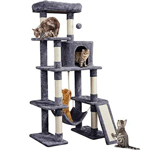 Best Cat Trees for Large Cats