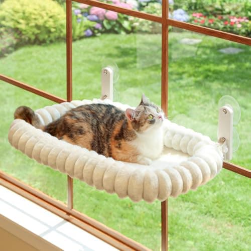 Best Gifts for Cat Lovers