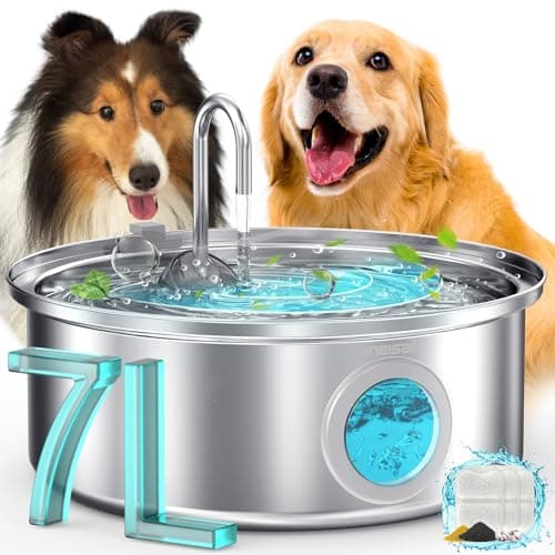 Best Dog Water Fountains