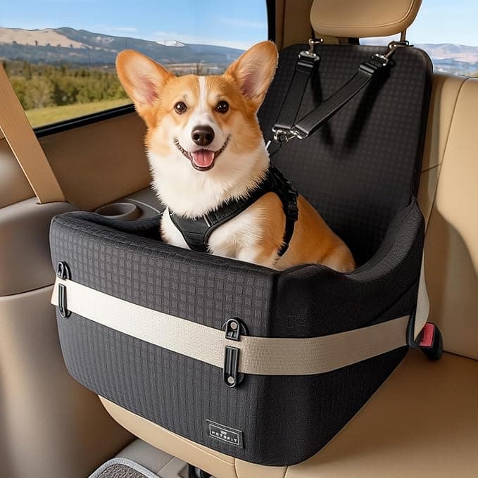 PETSFIT Dog Car Seat with Patented Safety Buckles, 5 Inch Elevated Cushion, Fully Detachable Washable Cover, Memory Foam Dog Booster Car Seat for Small/Medium Dogs Up to 35 Lbs